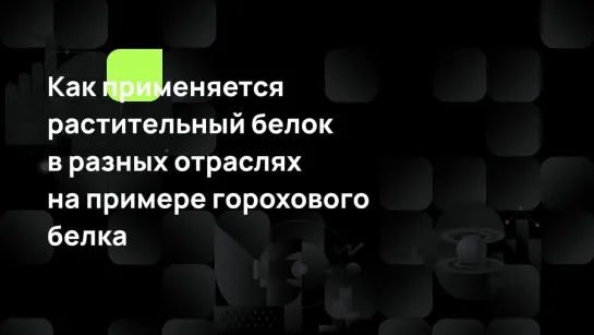 Как применяется растительный белок в разных отраслях на примере горохового белка