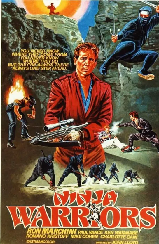 Воины Ниндзя (Ninja Warriors)_1985