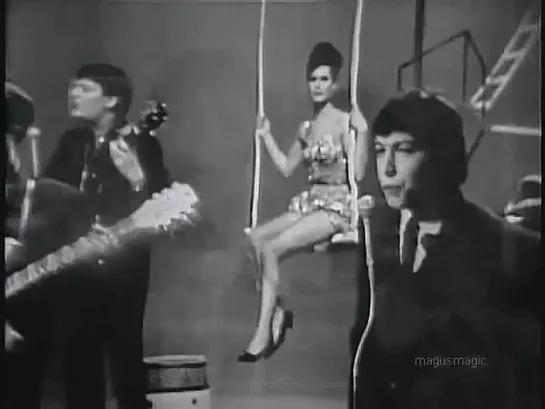 The Animals - Bring It On Home To Me (Live, 1965) UPGRADE ♫♥ (480p)