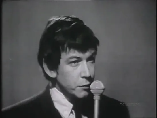 The Animals - Bring It On Home To Me (Live, 1965) UPGRADE ♫♥