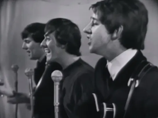 The Hollies - Look Through Any Window (1965) 4K (2160p)