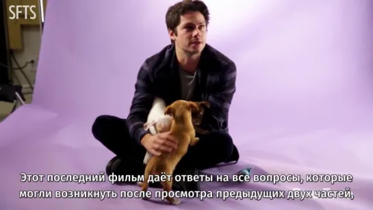 [RUS SUB] Dylan O'Brien From The Maze Runner Plays With Puppies