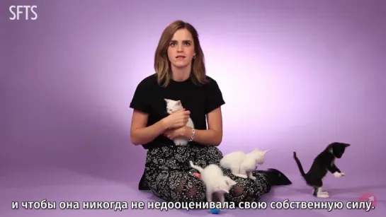 [RUS SUB] Emma Watson Plays With Kittens (While Answering Fan Questions)