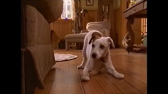 Фильм "Wishbone : Dog Days of the West." (1998)(США) БЕЗ ПЕРЕВОДА !!!