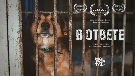 Документальный фильм «В ответе» (2021)