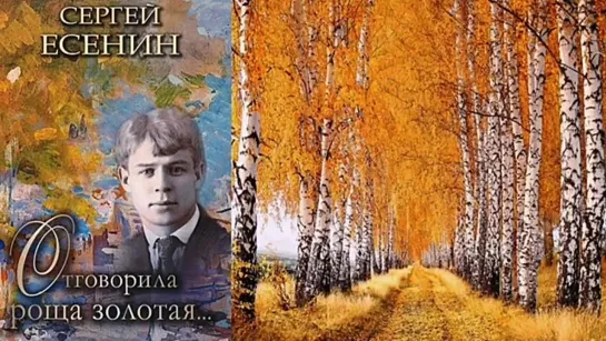 # ОТГОВОРИЛА РОЩА ЗОЛОТАЯ - Сергей Есенин. Песня под гитару #