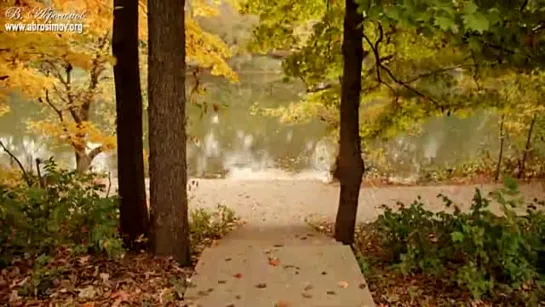 # ВАЛЬС, ПОКОРИВШИЙ СЕРДЦА МИЛЛИОНОВ 🍁Осенние листья🍁 - поет Вячеслав Абросимов #