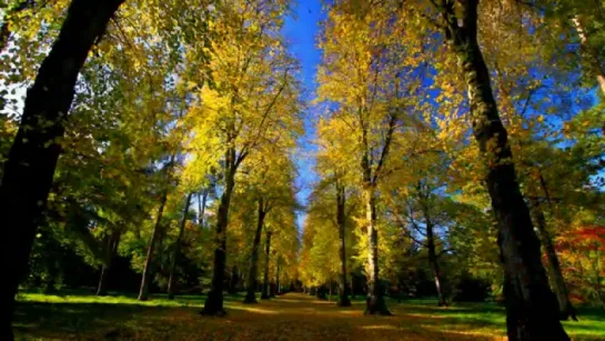 ~ Александр Закшевский - Осень ~