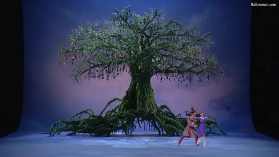 The Winters Tale (ROYAL BALLET 2014) - Зимняя сказка (Королевский балет 2014)