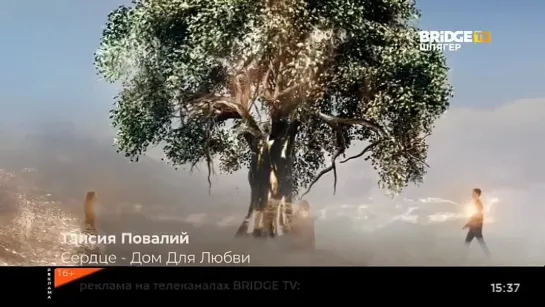 Таисия Повалий - Сердце - дом для любви (Bridge TV Шлягер) Хорошие песни