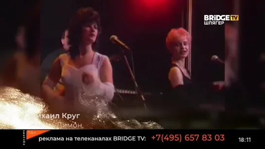 Михаил Круг - Жиган-Лимон (Bridge TV Шлягер) Хорошие песни