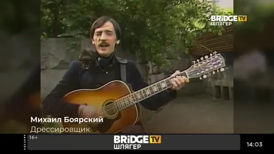 Михаил Боярский - Дрессировщик (Bridge TV Шлягер) Хорошие песни