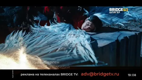 Димаш Кудайберген - Любовь уставших лебедей (Bridge TV Шлягер) Хорошие песни