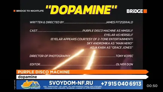 Purple Disco Machine - Dopamine (Bridge) Bridge To Nightlife