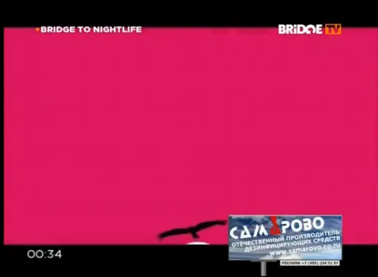 David Guetta feat. Skylar Grey - Shot Me Down (BRIDGE TV) Bridge To Nightlife