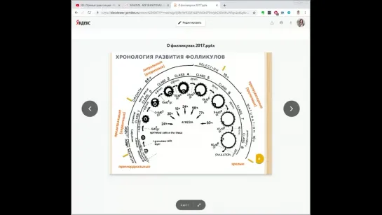 На сколько хватит яйцеклеток у женщины Овариальный резерв или фолликулярный запас яичников