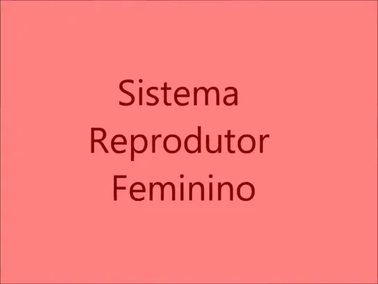 Sistema Reprodutor Feminino (репродуктивная система женщины) ин.яз