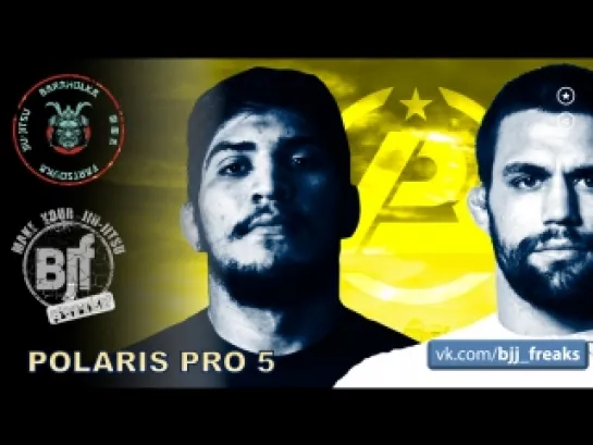 #polaris5 main card #bjf_stream