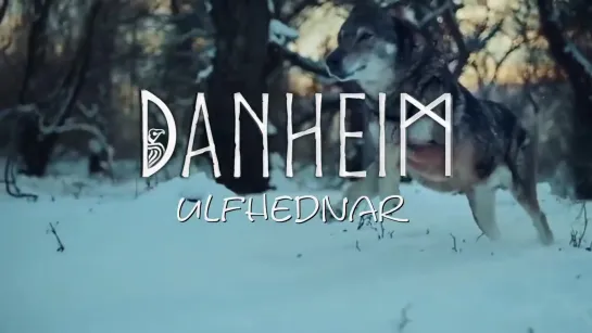 Danheim - Ulfhednar