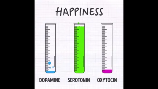 How Hormones Influence Us!