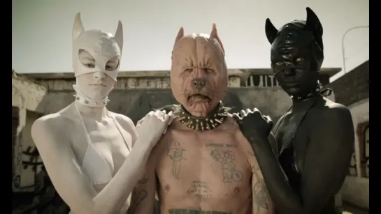 Die Antwoord - Pitbull Terrier