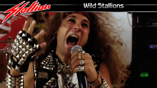 Stallion - Wild Stallions (2014) (Official Video)