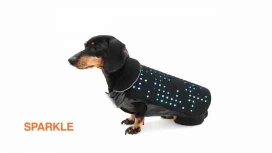 Disco Dog   The smartphone controlled LED dog vest