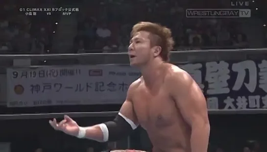 NJPW G1 Climax 2011 ~ The Invincible Fighter ~ - Day 5 (07.08.2011)