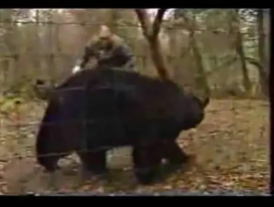 Yoshiaki Fujiwara vs. A Wild Bear