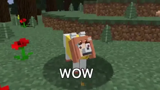 Minecraft Dog