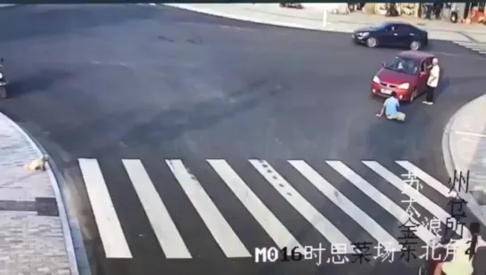 Puppy Uses the Crosswalk After Jaywalker Gets Hit by a Car...