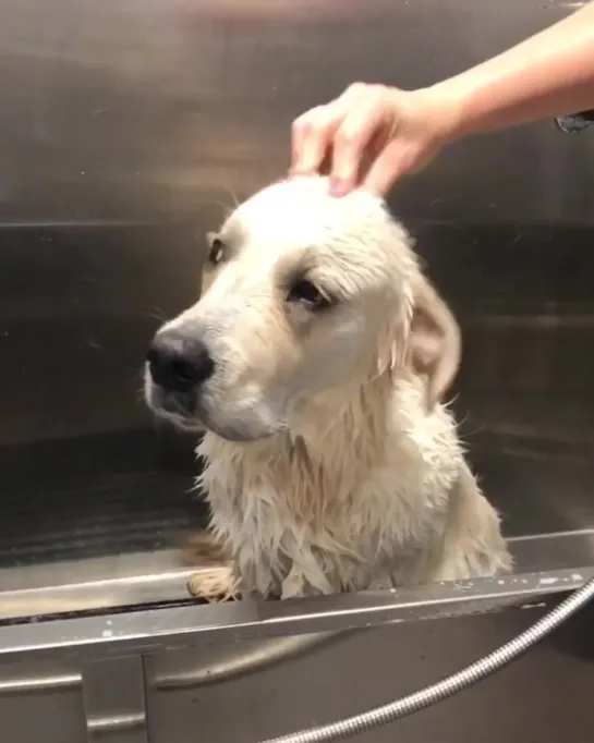 the evolution of Leo and his bath time :)