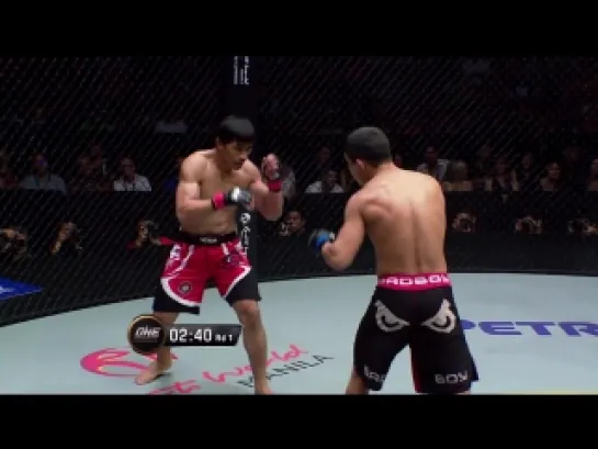 Nastyukhin vs Folayang Knockout!