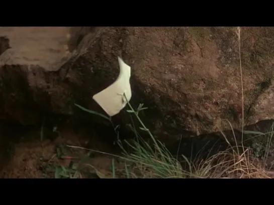 Picnic at Hanging Rock (ESP SUBS)