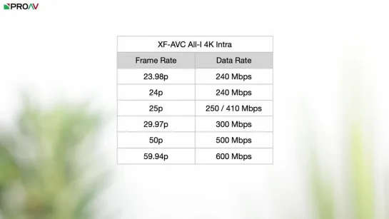 3 фичи новой прошивки Canon C70 - Eye AF, 50 60p All-I & Canon 709