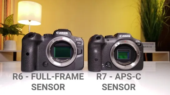 Сравнение Canon R6 vs R7