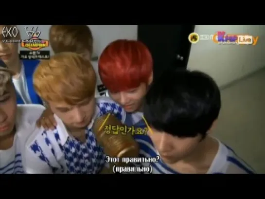 [РУСС. САБ] 130904 EXO - Show Champion TV Idol Knowledge Test