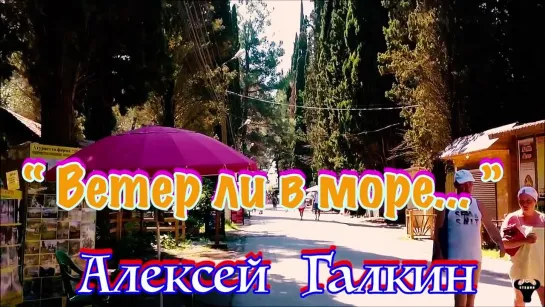 Алексей Галкин. «Ветер ли в море...» муз. и ст. А.Галкин.