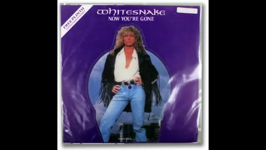 Whitesnake - Now You're Gone(1989)