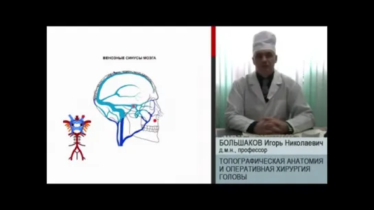 Топографическая анатомия и оперативная хирургия головы