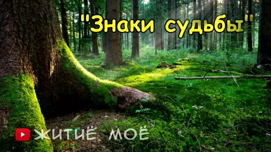 О знаках судьбы  ★💥♚★  Притча  ★♚💥★