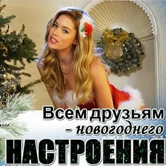 НЕ СТЕСНЯЙСЯ ♚★🌲❄😉►Танец Позитив ◄ ╬₪🤣😉🌲❄👍🏻