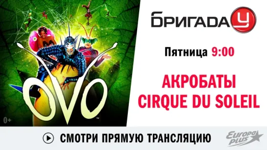 Акробаты Cirque du Soleil в Бригаде У