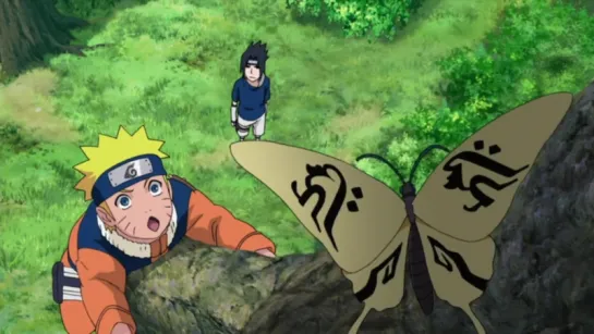 Naruto Shippuuden - 433 серия [Rain.Death]