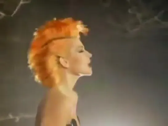 Toyah Willcox - Dont Fall In Love