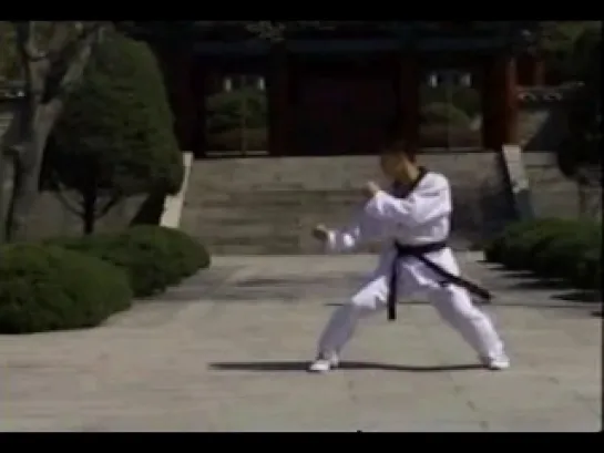 Taekwondo Revolution Of Kicking 3