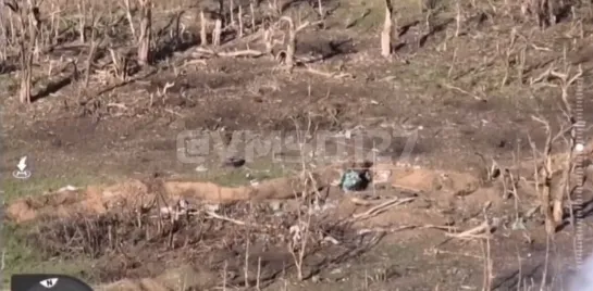 Видео от Военный Осведомитель