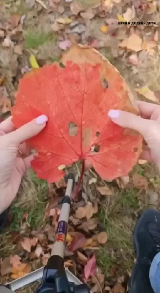 Вот чем можно заняться на прогулке🍂