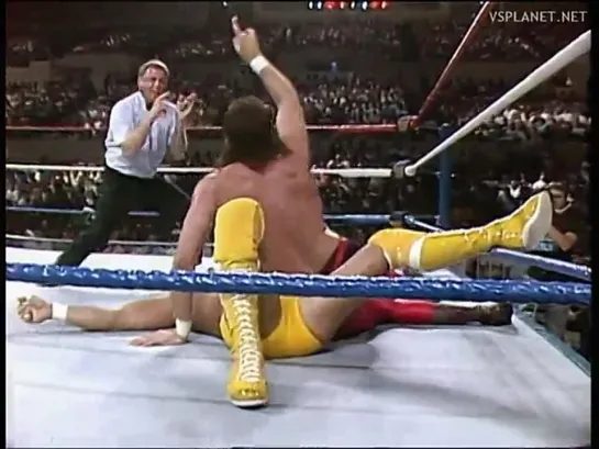 Randy Savage vs Jake Roberts, Saturday Night's Main Event VII (29.11.1986)