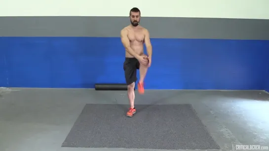 Full Body Dynamic Stretching Warm Up Routine